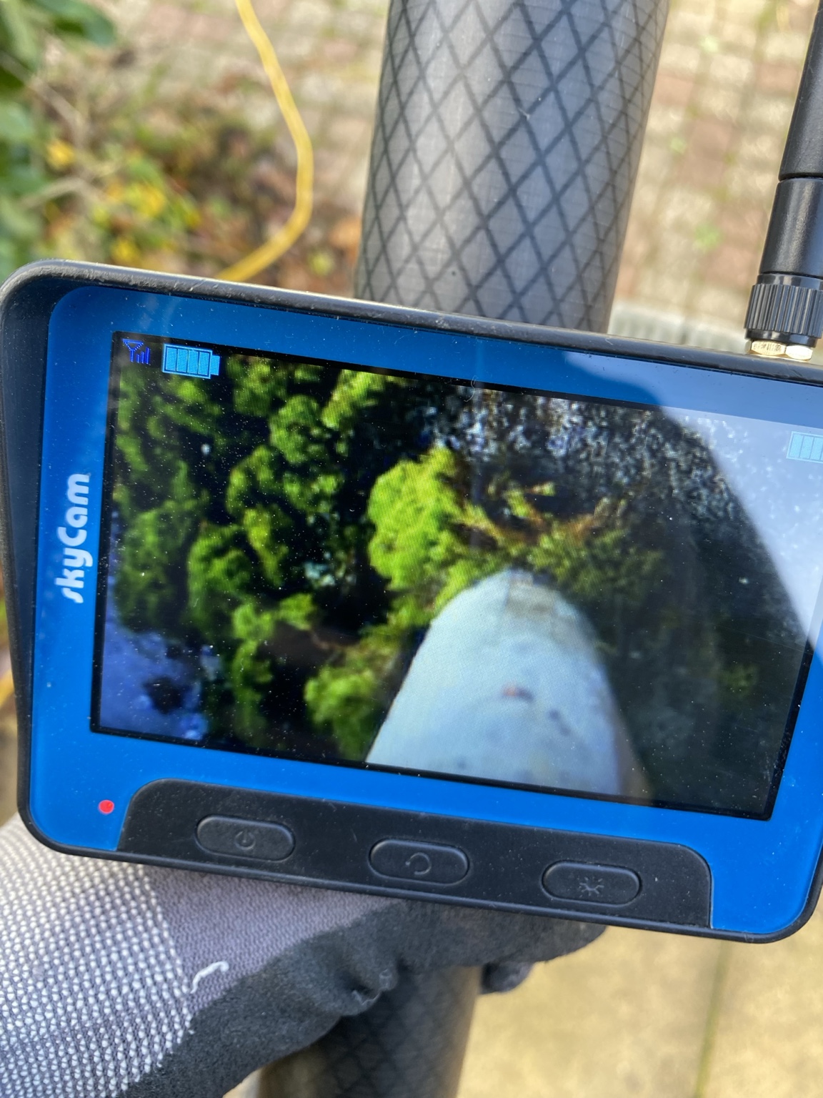 Inspectiecamera toont begroeiing in de dakgoot